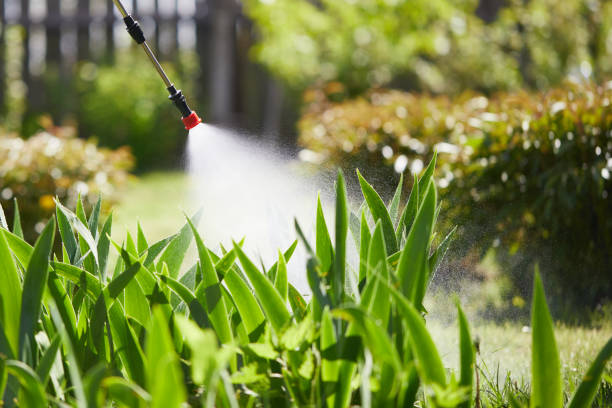 24/7 Emergency Mosquito Control experts in Hooper, NE